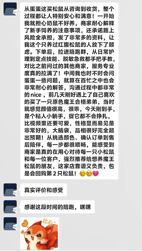 感谢重庆废炭小姐姐对易客萌宠家的高评价，在各大平台和其他商家全面对比完以后，果断在易客家持续下单四只包子脸魔王松鼠，以专业态度挑选高品质好鼠！-易客萌宠官方网站