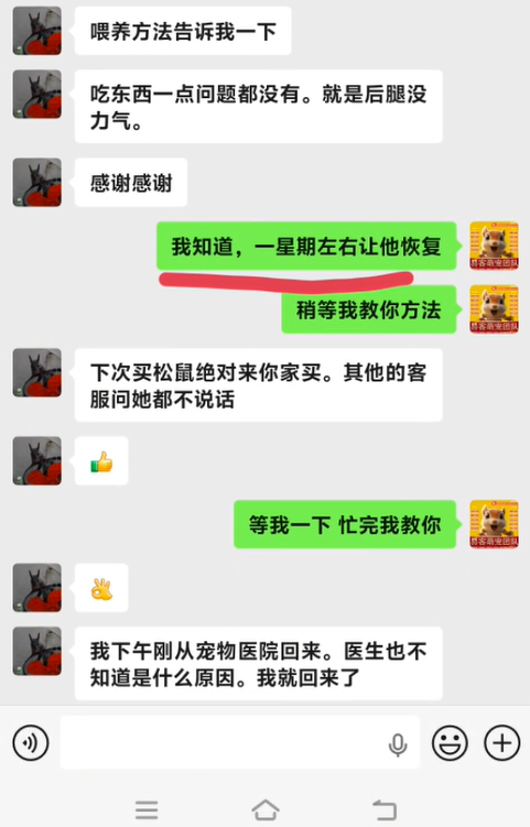 做异宠这么久，一直坚信买卖只是缘分，生命不分客源。 客户这只魔王松鼠并非在本店入手，后腿无力跑遍宠物医院都查不出病因，心急到请假半天就诊。 找到我家全程免费耐心拆解病因、一步步投喂调理方案，仅仅一周小家伙恢复活力，又蹦蹦跳跳。 秉持尽职尽责的初心，每日一善，只要是养鼠遇到难处，需要急救的，能帮一定全力帮，专业从来不止局限自家客户。-易客萌宠官方网站