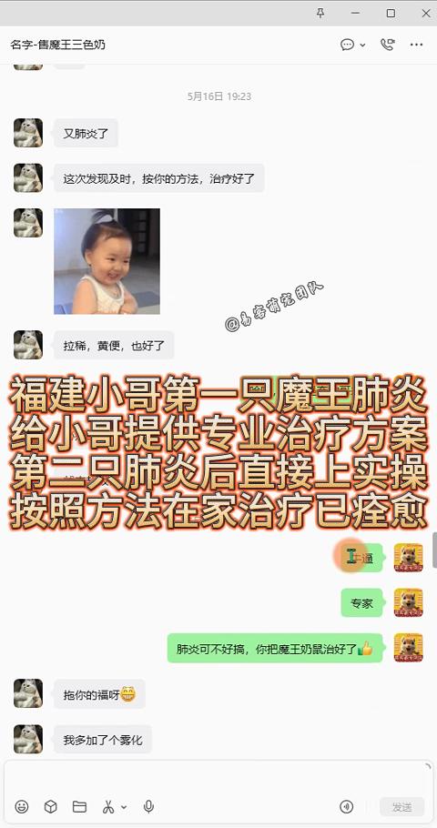 福建小哥家魔王松鼠两次爆发肺炎，第一只肺炎，我们给到完整专业治疗方案；第二只复发肺炎，直接同步全套居家实操流程，搭配雾化辅助调理。小家伙不仅肺炎彻底痊愈，连带伴随的拉稀、黄便问题也全部恢复正常。松鼠肺炎属于高危急症，很多宠物医院没有成熟异宠诊疗经验。我们常年积累上千例松鼠养护急救经验，不管是初次发病还是反复复发，易客萌宠都会一对一给出可落地的实操方案，全程跟进指导。靠谱不只是售前一句承诺，是小动物生病时，能给到切实能救命的专业办法。-易客萌宠官方网站