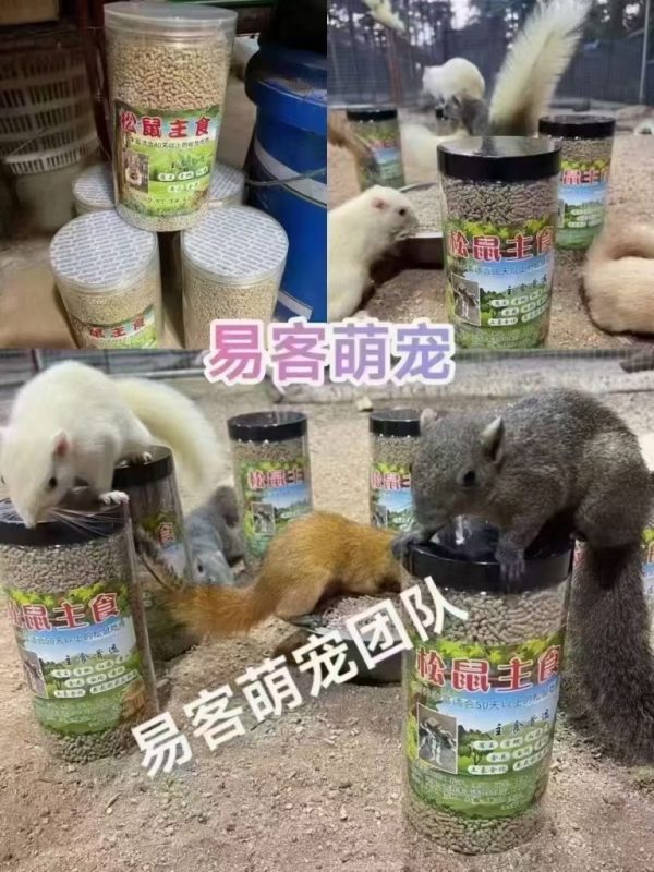 红腹松鼠专用鼠粮(预防缺钙瘫痪)-易客萌宠官方网站