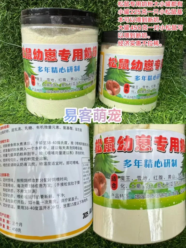 图片[1]-红腹松鼠完整开箱「售后补发必备」-易客萌宠官方网站