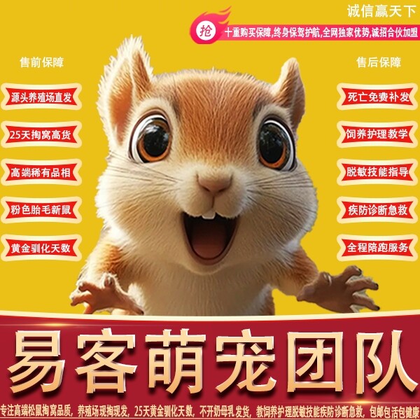 图片[1]-易客萌宠团队【官方防伪认证查询】-易客萌宠官方网站