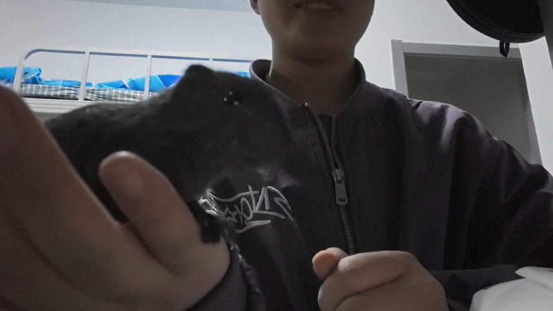 根据太原一位顾客的反馈，她在易客萌宠店购买的一只已完成25天黄金驯化期且尚未开奶的小松鼠，表现出了极高的品质，不仅非常活泼，而且与人亲近。-易客萌宠官方网站