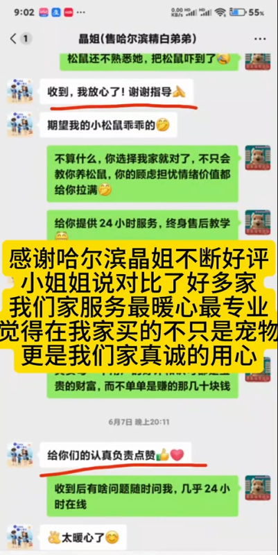 哈尔滨晶姐好评持续不断。晶姐说我家服务最暖心！！-易客萌宠官方网站