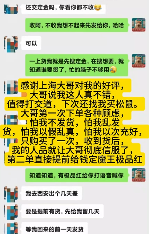 上海大哥购买多只魔王，对我家高品质和专业及服务高度认可，说我值得打交道！！！-易客萌宠官方网站