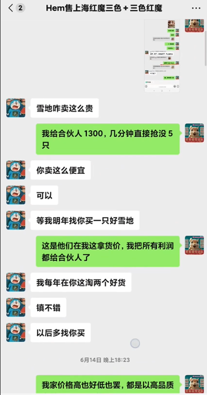 上海大哥高度认可，说我家魔王这么便宜，这么高的品质，真不错，要每年找我家淘两只好货！！-易客萌宠官方网站