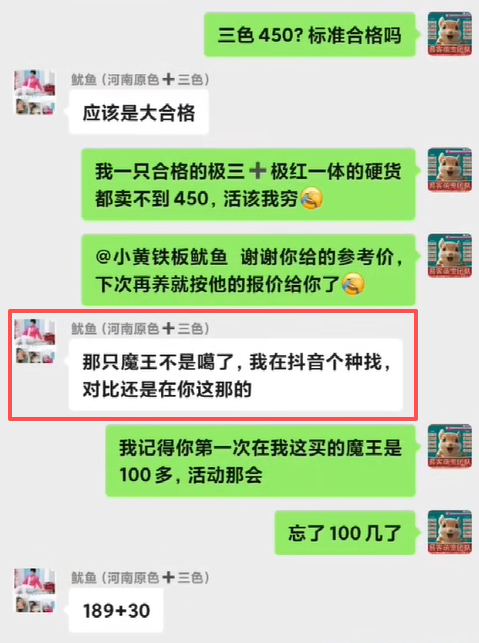 河南鱿鱼哥，全网对比价格品质服务售后，最后找我家下单！！！-易客萌宠官方网站