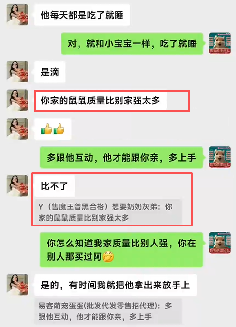 长沙小姐姐好评,你家的鼠鼠质量比别家强太多,在别人家买过,品质根本比不了!!-易客萌宠官方网站
