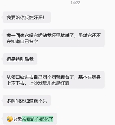 感谢北京小姐姐对易客萌宠加高品质稀有黄山络绎不绝的好评。-易客萌宠官方网站
