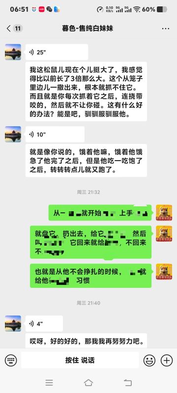 石家庄养松鼠大哥专属脱敏训鼠干货,手把手教你把炸毛凶鼠盘成粘人跟屁鼠‼️-易客萌宠官方网站