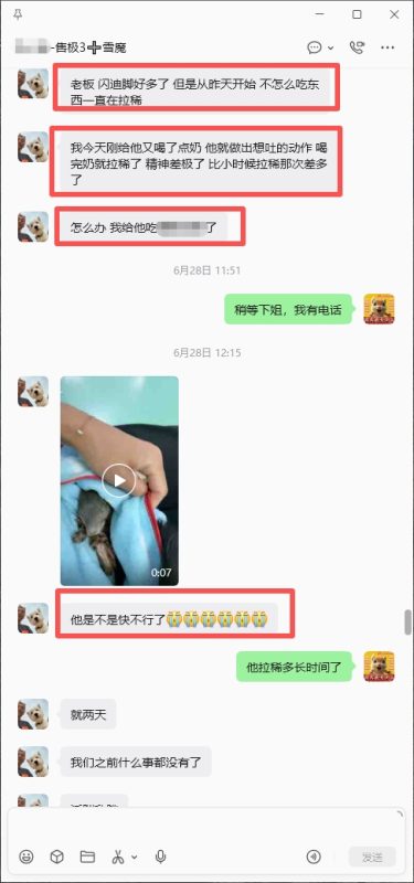 帮助北京空姐救治奄奄一息的魔王，小姐姐喜报和好评来了。-【易客萌宠官网】