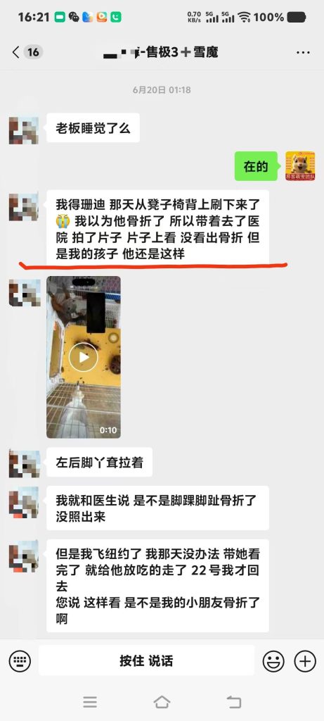 北京空姐的魔王松鼠从高处坠落，后腿瘫痪，去医院拍片查不出任何问题，把小姐姐急哭了，远程协助指导救治，教学用药及用量，直到痊愈。-易客萌宠官方网站