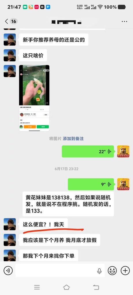 图片[1]-同样品相的松鼠，别家318，咱家仅138💰价格差一半，服务更是天差地别‼️-【易客萌宠官网】