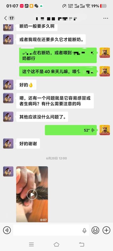 做异宠最踏实的，就是客户大眼飞鼠有任何小问题第一时间来找我，我全程给解决方案‼️-【易客萌宠官网】