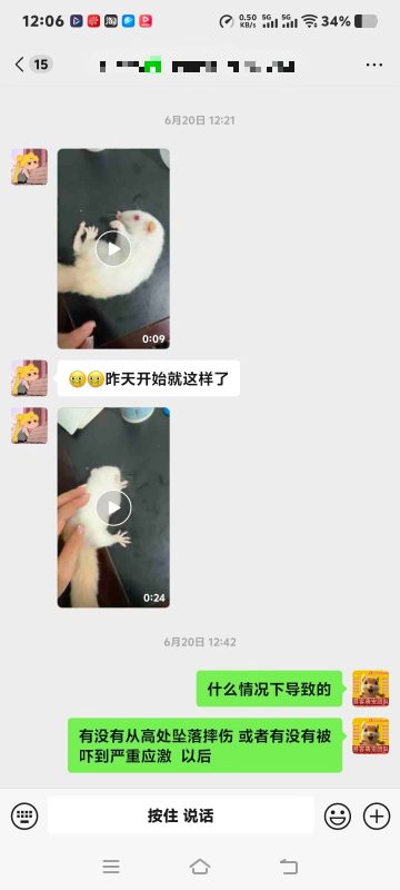 养异宠才知道有多不容易，随便一趟异宠医院检查费就要800多，还不包含后续治疗费💰-【易客萌宠官网】