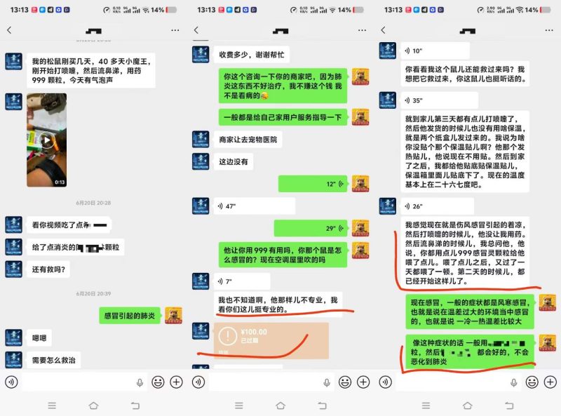 唐山大哥的40多天小魔王松鼠，到家刚三天就开始打喷嚏流鼻涕，商家告知不用用药，硬生生把感冒拖成肺炎后期。-【易客萌宠官网】
