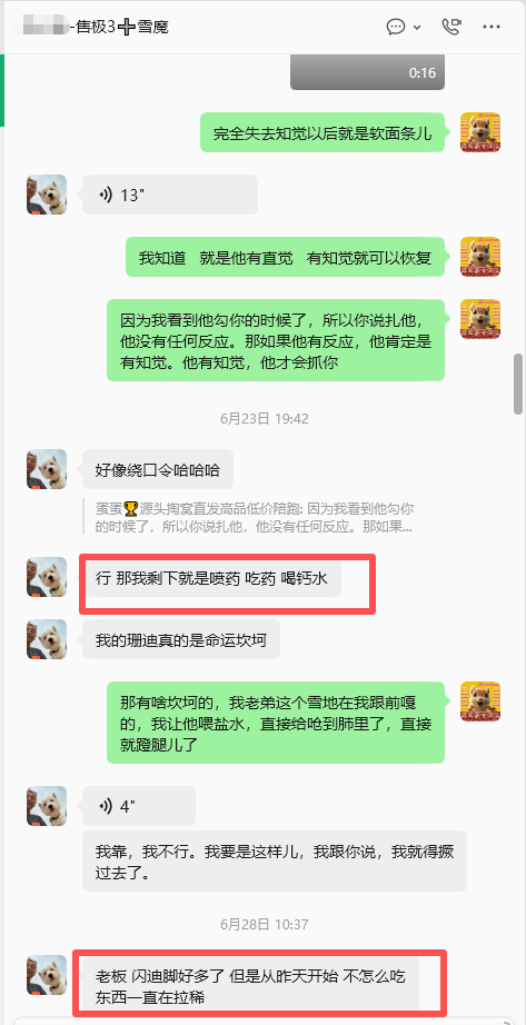 图片[10]-北京空姐的魔王松鼠从高处坠落，后腿瘫痪，去医院拍片查不出任何问题，把小姐姐急哭了，远程协助指导救治，教学用药及用量，直到痊愈。-易客萌宠官方网站