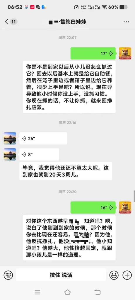 图片[2]-石家庄养松鼠大哥专属脱敏训鼠干货，手把手教你把炸毛凶鼠盘成粘人跟屁鼠‼️-易客萌宠官方网站