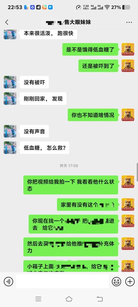 图片[2]-协助上海大哥急救大眼飞鼠➕14🏥-【易客萌宠官网】