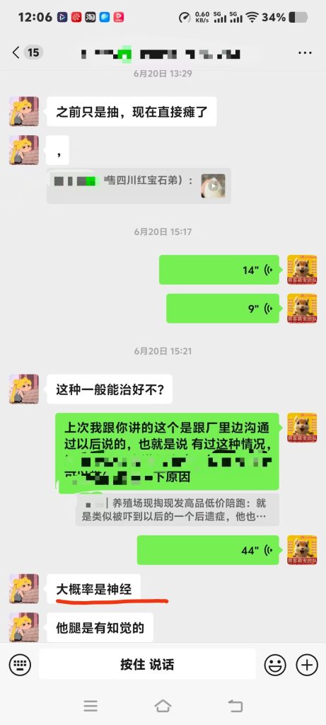 图片[2]-养异宠才知道有多不容易，随便一趟异宠医院检查费就要800多，还不包含后续治疗费💰-【易客萌宠官网】