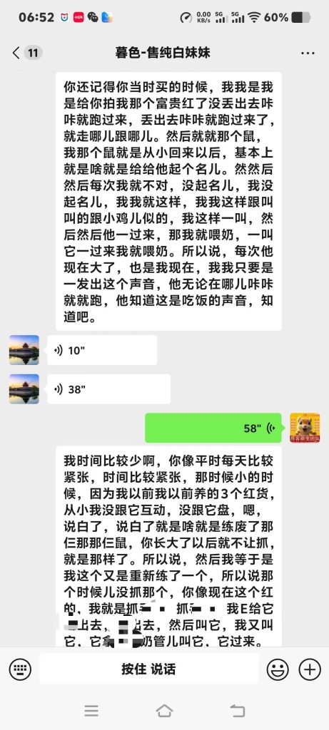 图片[3]-石家庄养松鼠大哥专属脱敏训鼠干货，手把手教你把炸毛凶鼠盘成粘人跟屁鼠‼️-易客萌宠官方网站