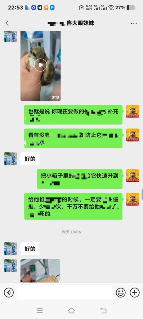 图片[3]-协助上海大哥急救大眼飞鼠➕14🏥-【易客萌宠官网】
