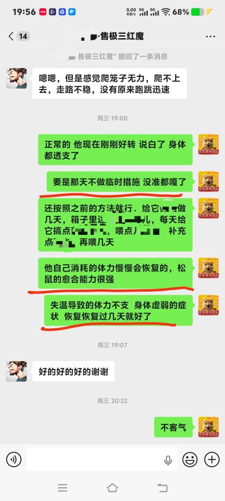 图片[3]-四川小哥的魔王松鼠洗完澡浑身瘫软无力，精神不振，严重失温，第一时间远程协助急救，状态恢复以后，全程跟踪指导教学直到痊愈。-易客萌宠官方网站