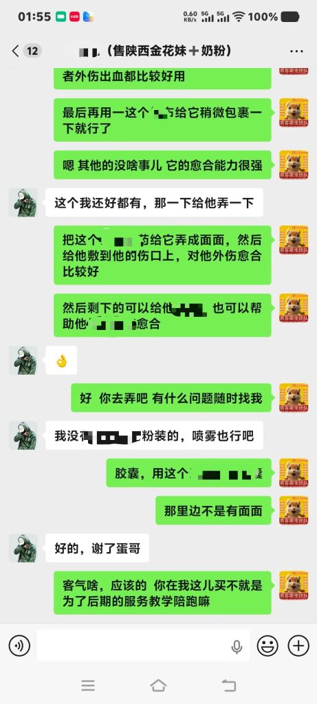 图片[3]-陕西小哥的白化金花松鼠，尾巴严重撕裂出血，第一时间找我求助，手把手进行全程指导教学急救-易客萌宠官方网站