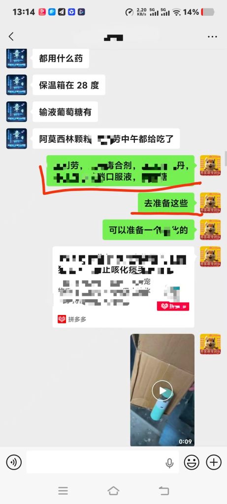 图片[3]-唐山大哥的40多天小魔王松鼠，到家刚三天就开始打喷嚏流鼻涕，商家告知不用用药，硬生生把感冒拖成肺炎后期。-【易客萌宠官网】