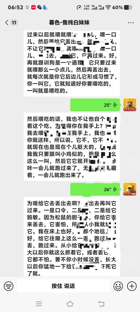 图片[4]-石家庄养松鼠大哥专属脱敏训鼠干货，手把手教你把炸毛凶鼠盘成粘人跟屁鼠‼️-易客萌宠官方网站