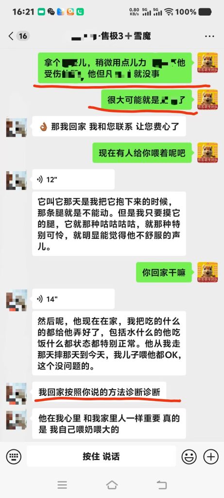 图片[4]-北京空姐的魔王松鼠从高处坠落，后腿瘫痪，去医院拍片查不出任何问题，把小姐姐急哭了，远程协助指导救治，教学用药及用量，直到痊愈。-易客萌宠官方网站