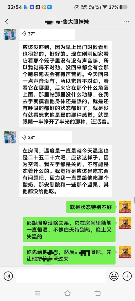 图片[4]-协助上海大哥急救大眼飞鼠➕14🏥-【易客萌宠官网】
