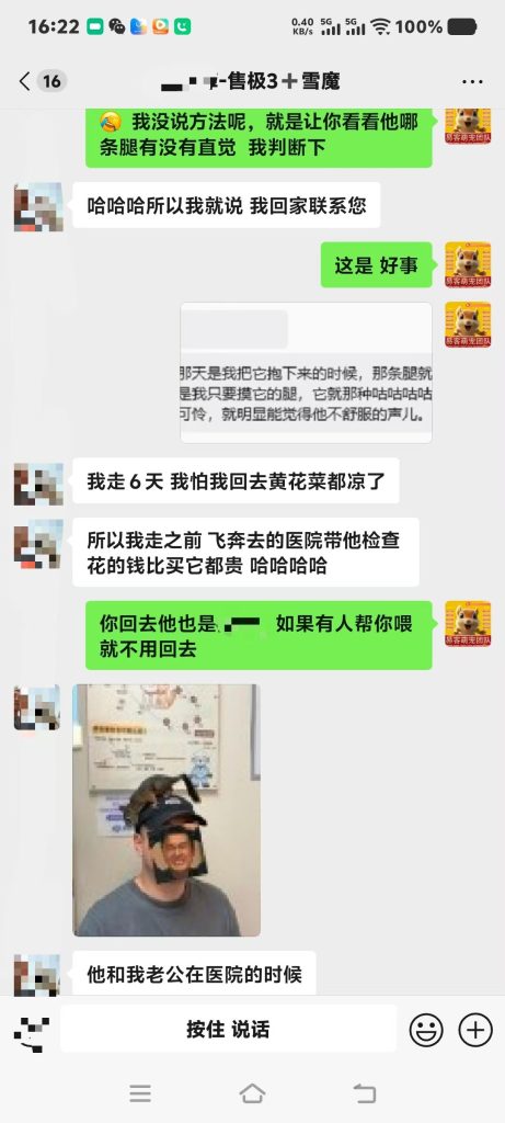 图片[5]-北京空姐的魔王松鼠从高处坠落，后腿瘫痪，去医院拍片查不出任何问题，把小姐姐急哭了，远程协助指导救治，教学用药及用量，直到痊愈。-易客萌宠官方网站