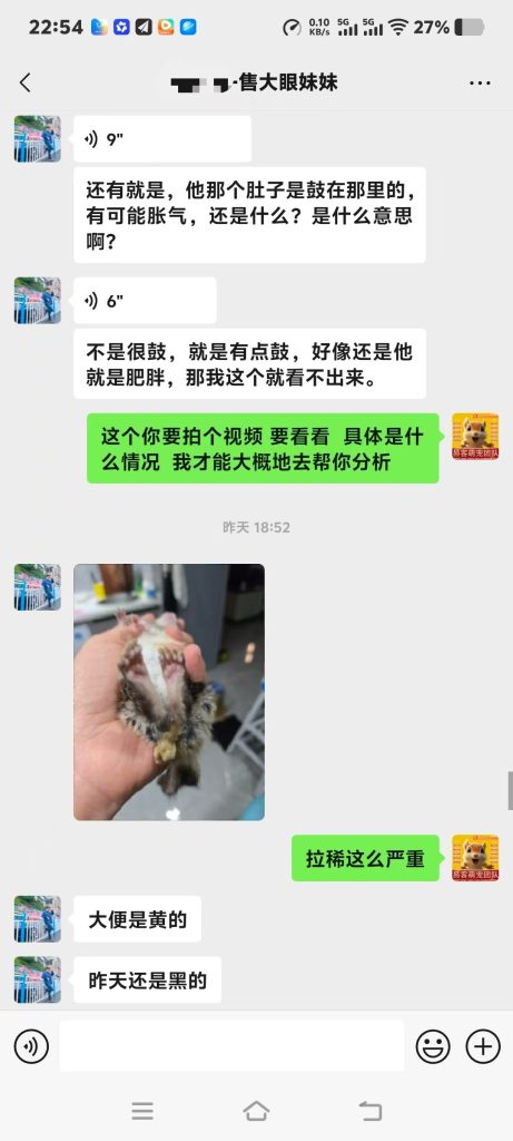 图片[5]-协助上海大哥急救大眼飞鼠➕14🏥-【易客萌宠官网】