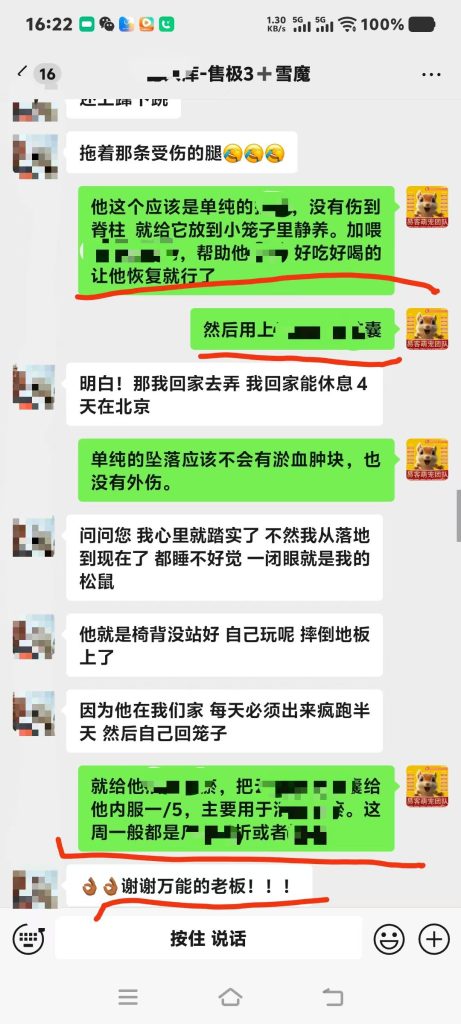 图片[6]-北京空姐的魔王松鼠从高处坠落，后腿瘫痪，去医院拍片查不出任何问题，把小姐姐急哭了，远程协助指导救治，教学用药及用量，直到痊愈。-易客萌宠官方网站