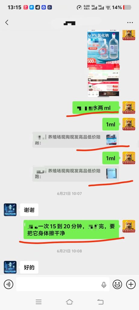 图片[6]-唐山大哥的40多天小魔王松鼠，到家刚三天就开始打喷嚏流鼻涕，商家告知不用用药，硬生生把感冒拖成肺炎后期。-【易客萌宠官网】