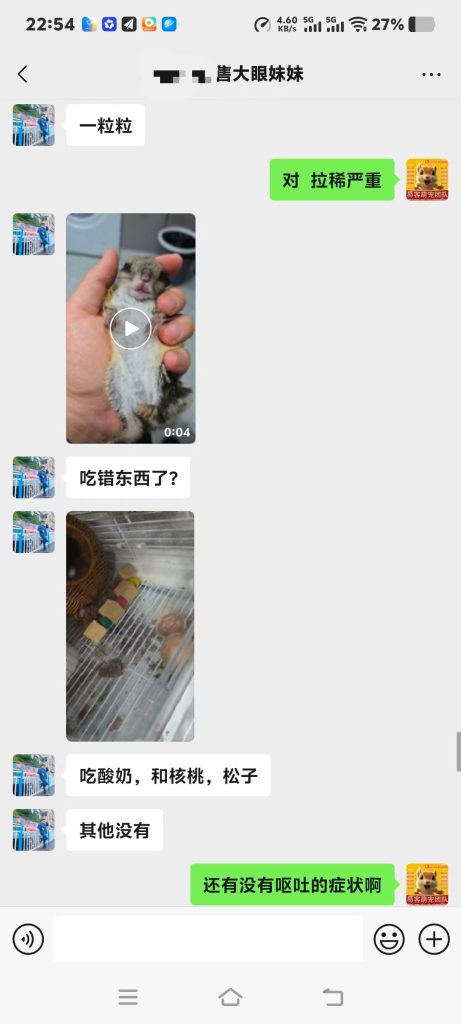 图片[6]-协助上海大哥急救大眼飞鼠➕14🏥-【易客萌宠官网】