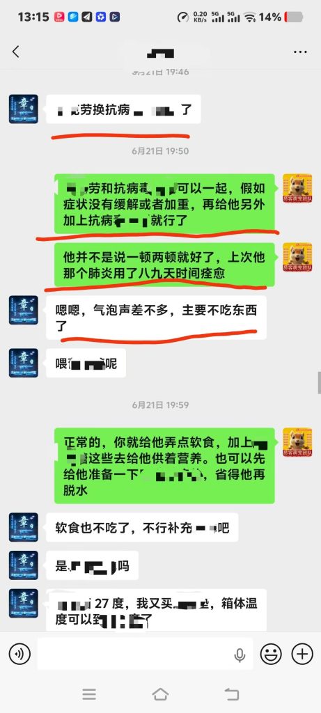 图片[8]-唐山大哥的40多天小魔王松鼠，到家刚三天就开始打喷嚏流鼻涕，商家告知不用用药，硬生生把感冒拖成肺炎后期。-【易客萌宠官网】