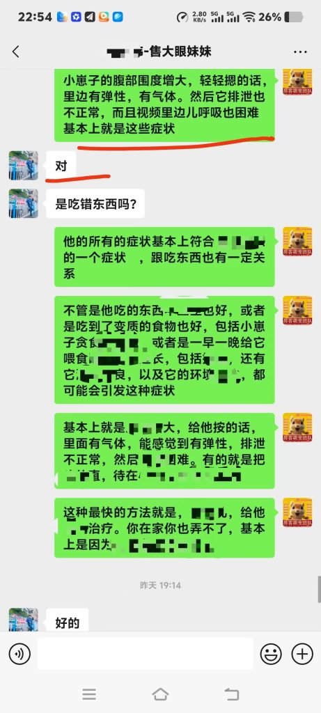 图片[8]-协助上海大哥急救大眼飞鼠➕14🏥-【易客萌宠官网】