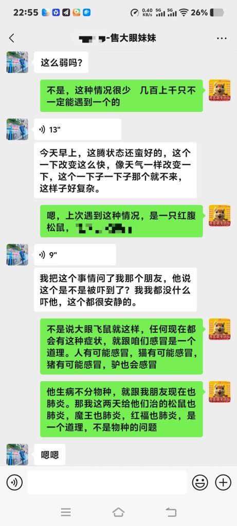 图片[9]-协助上海大哥急救大眼飞鼠➕14🏥-【易客萌宠官网】
