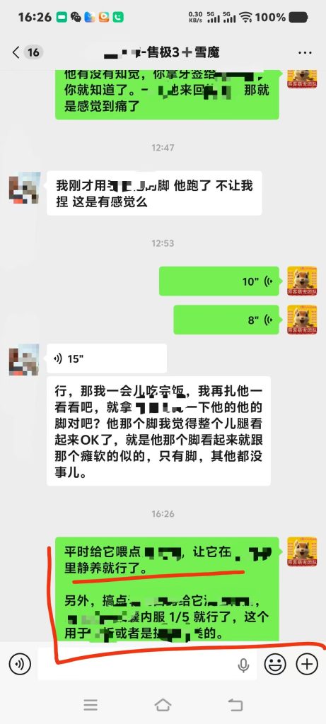 图片[9]-北京空姐的魔王松鼠从高处坠落，后腿瘫痪，去医院拍片查不出任何问题，把小姐姐急哭了，远程协助指导救治，教学用药及用量，直到痊愈。-易客萌宠官方网站