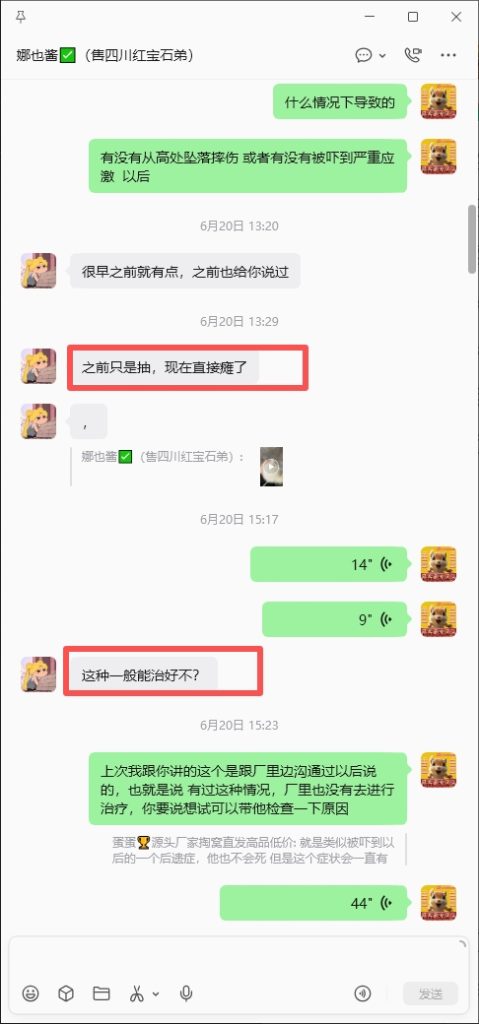 图片[1]-四川小姐姐红宝石抽搐瘫痪根治➕16🎉-【易客萌宠官网】