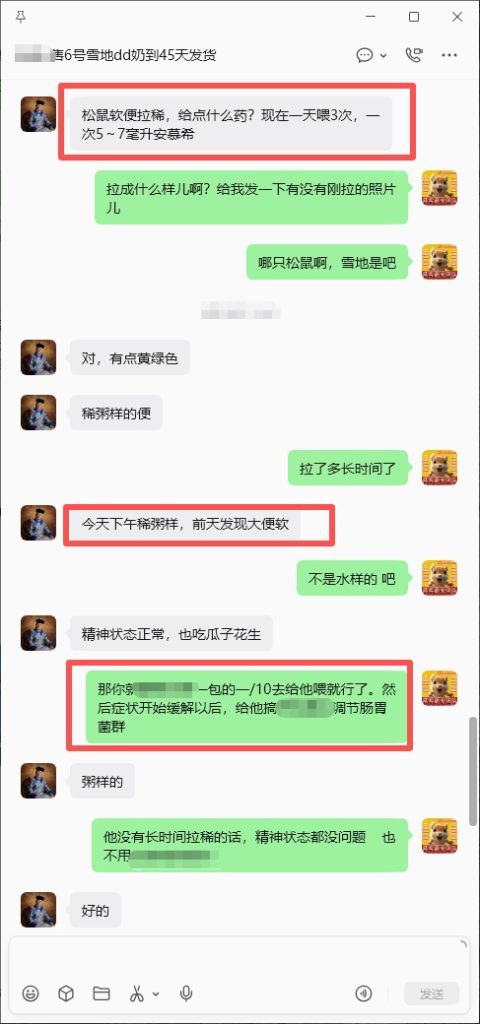 图片[1]-协助天津大哥治疗松鼠不成形绿便➕17🎉-【易客萌宠官网】