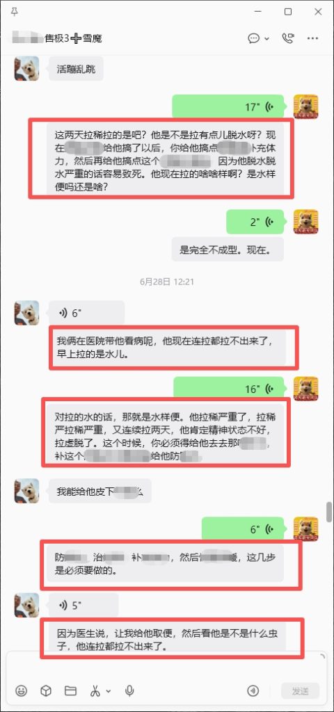图片[2]-帮助北京空姐救治奄奄一息的魔王，小姐姐喜报和好评来了。-【易客萌宠官网】