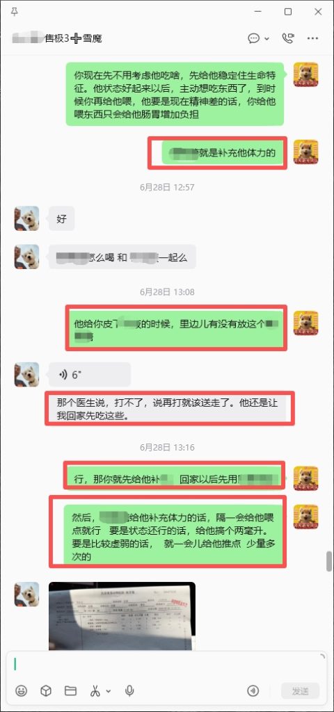 图片[5]-帮助北京空姐救治奄奄一息的魔王，小姐姐喜报和好评来了。-【易客萌宠官网】