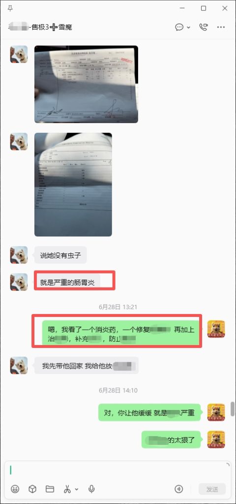 图片[6]-帮助北京空姐救治奄奄一息的魔王，小姐姐喜报和好评来了。-【易客萌宠官网】