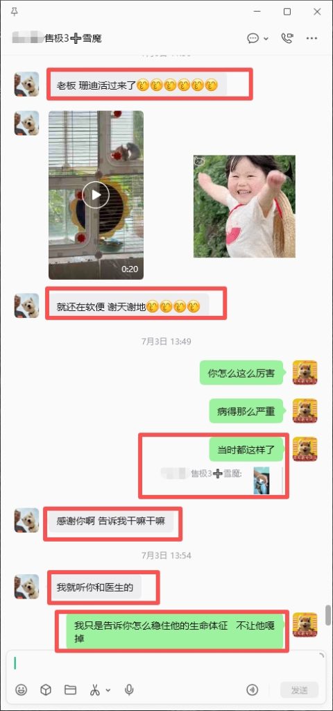 图片[8]-帮助北京空姐救治奄奄一息的魔王，小姐姐喜报和好评来了。-【易客萌宠官网】