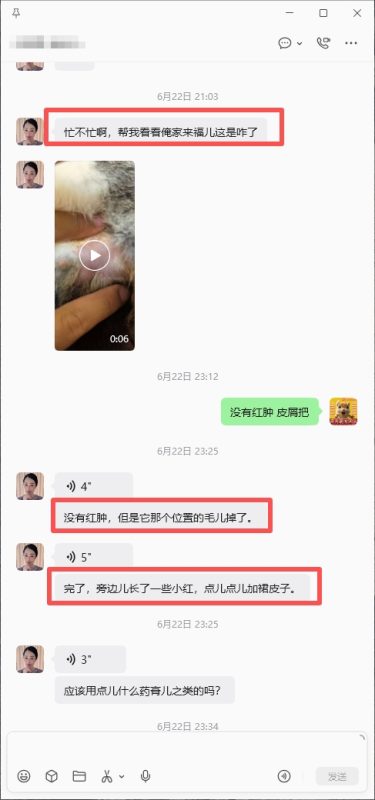 协助东北小姐姐治疗皮肤疾病➕19🎉-【易客萌宠官网】