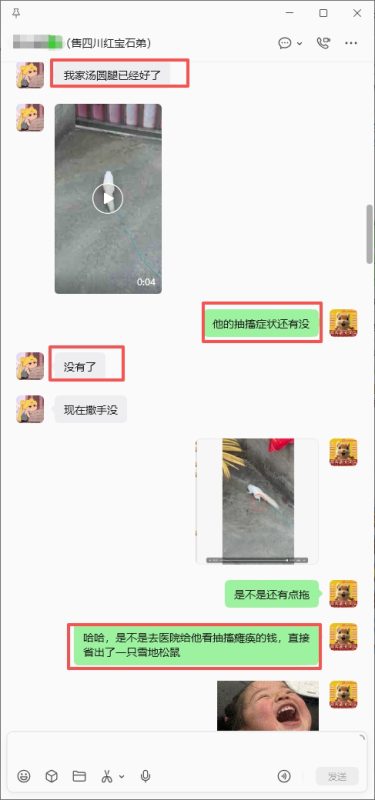 四川小姐姐的红眼抽搐瘫痪痊愈,报喜加好评➕20-【易客萌宠官网】