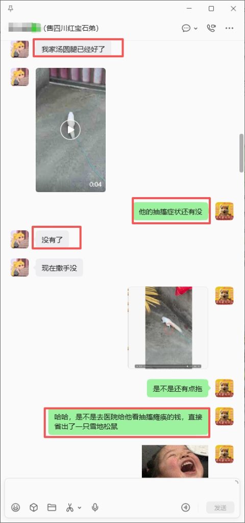 图片[1]-四川小姐姐的红眼抽搐瘫痪痊愈，报喜加好评➕20-【易客萌宠官网】
